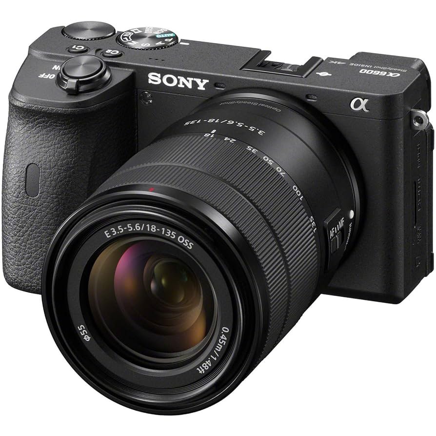 Sony Alpha A6600