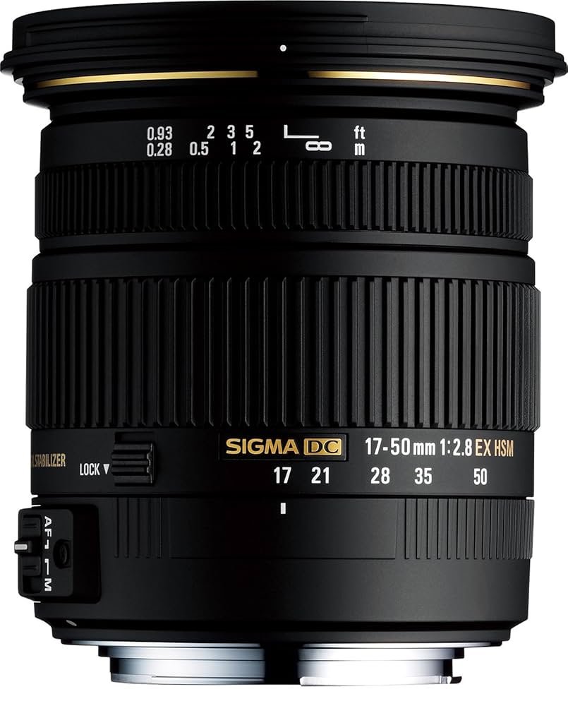 Sigma 17-50mm f/2.8 EX DC OS HSM (Canon)