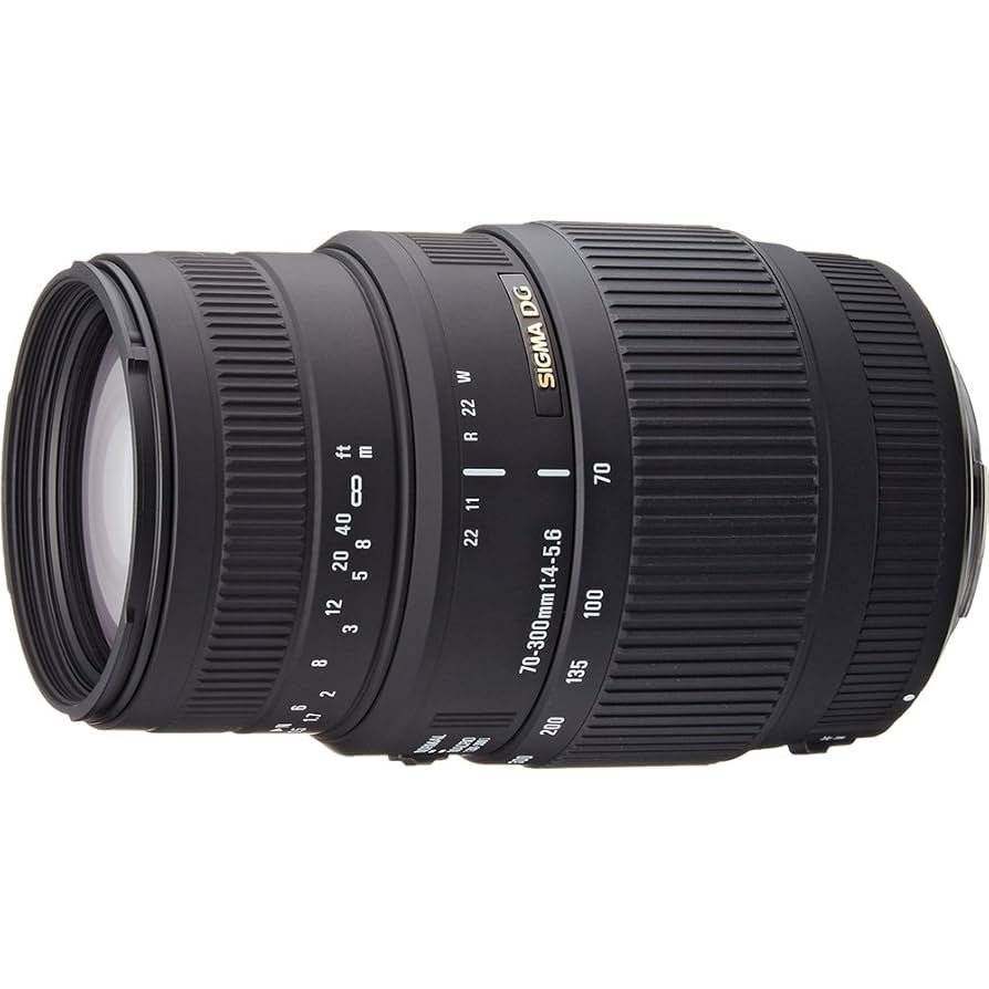 Sigma 70-300mm F/4-5.6 DG Macro (Canon)