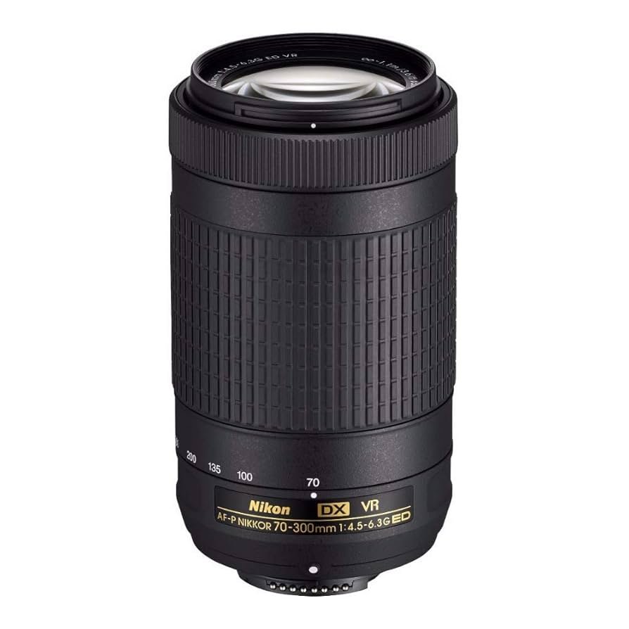 AF-P DX NIKKOR 70-300mm f/4.5-6.3G ED VR
